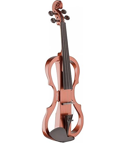 Amazon.com: Stagg VN-4/4 L Violin : Musical Instruments